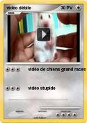 vidéo débile