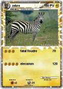 zebre zebre