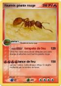 fourmis géante