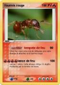 fourmis rouge