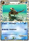 tortule