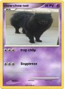 chow-chow noir