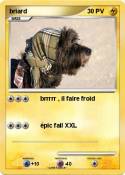 briard