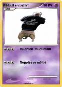 Pit-bull en t-shirt Pit-bull en