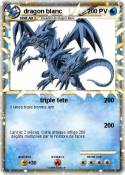 dragon blanc