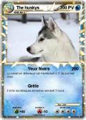 The huskys