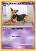 berger allemand / sharpeï berger allemand