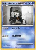 husky siberien