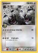 guepard