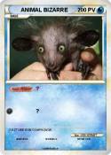 ANIMAL BIZARRE