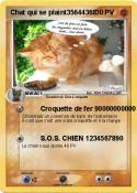 Chat qui se