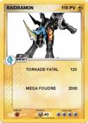 RAIDRAMON RAIDRAMON