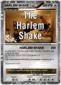 HARLEM SHAKE !