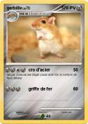 gerbille