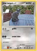 chat fatigué