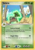 Torterra