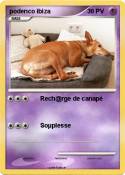 podenco ibiza