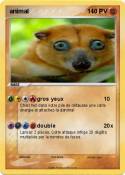 animal