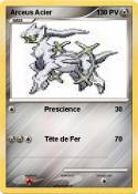 Arceus Acier