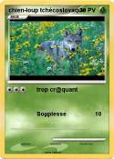 chien-loup