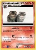 gribouille,gribouilli