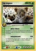 top mignon