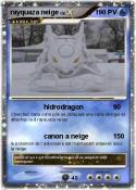 rayquaza neige