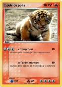 boule de poils 