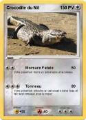 Crocodile du