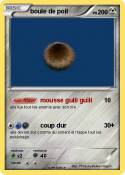 boule de poil boule de poil
