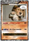 chien tous