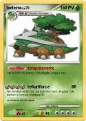 torterra torterra
