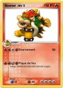 Bowser niv X