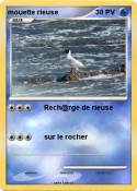 mouette rieuse mouette rieuse
