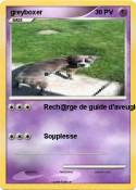 greyboxer