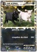 noir et blanc noir et blanc