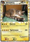 ZEKROM EX