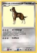 crées un croisement de chien sims crées un