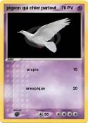 pigeon qui
