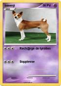 basenji