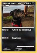 loup noir barbu ( mix ) loup noir barbu