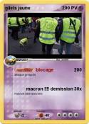 gilets jaune