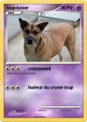 loup-boxer