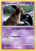 chat qui