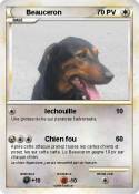 Beauceron