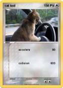 cat taxi