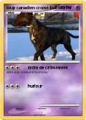 loup canadien