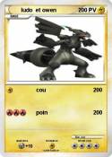 ludo et owen