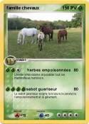 famille chevaux