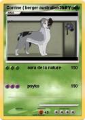 Corrine ( berger australien mix ) Corrine (
